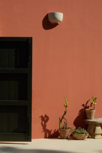 Petra Country House: Discover Salento’s Hospitality