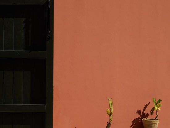 Petra Country House: Discover Salento’s Hospitality